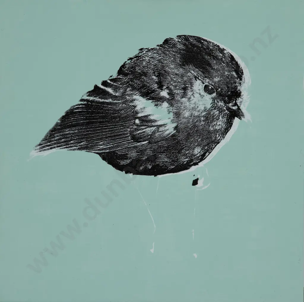 Rudolf Boelee - Chatham Island Black Robin Image 1++