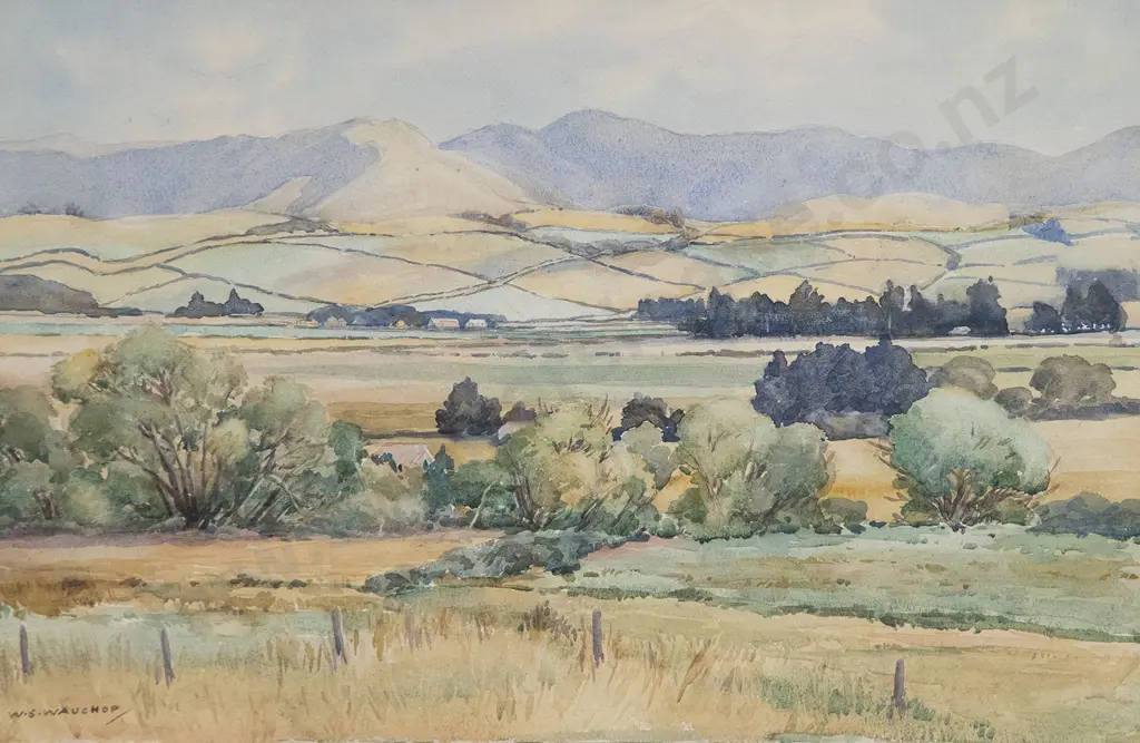 W S Wauchop - Wairarapa Landscape Image 1++