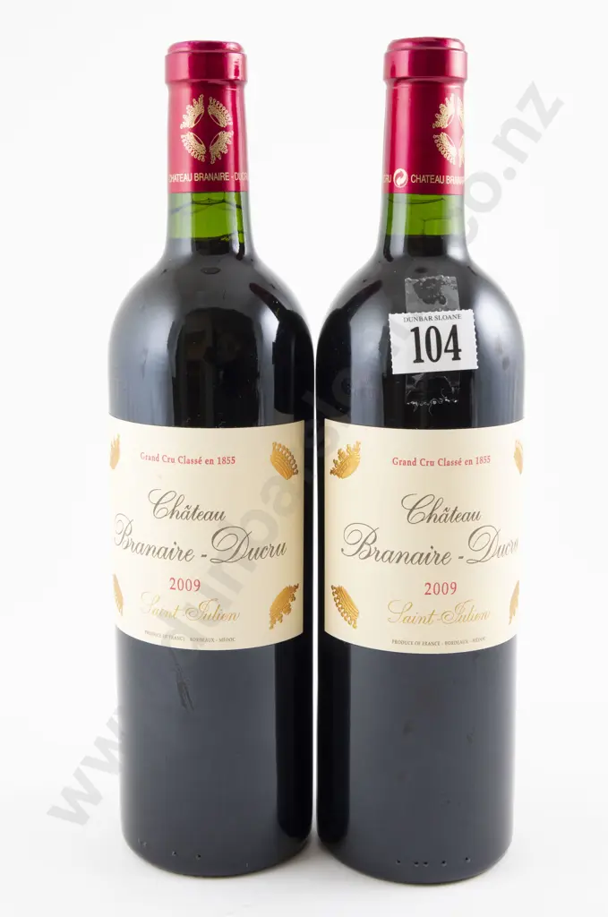 2 bottles Chateau Branaire-Ducru Saint-Julien 2009 Image 1++