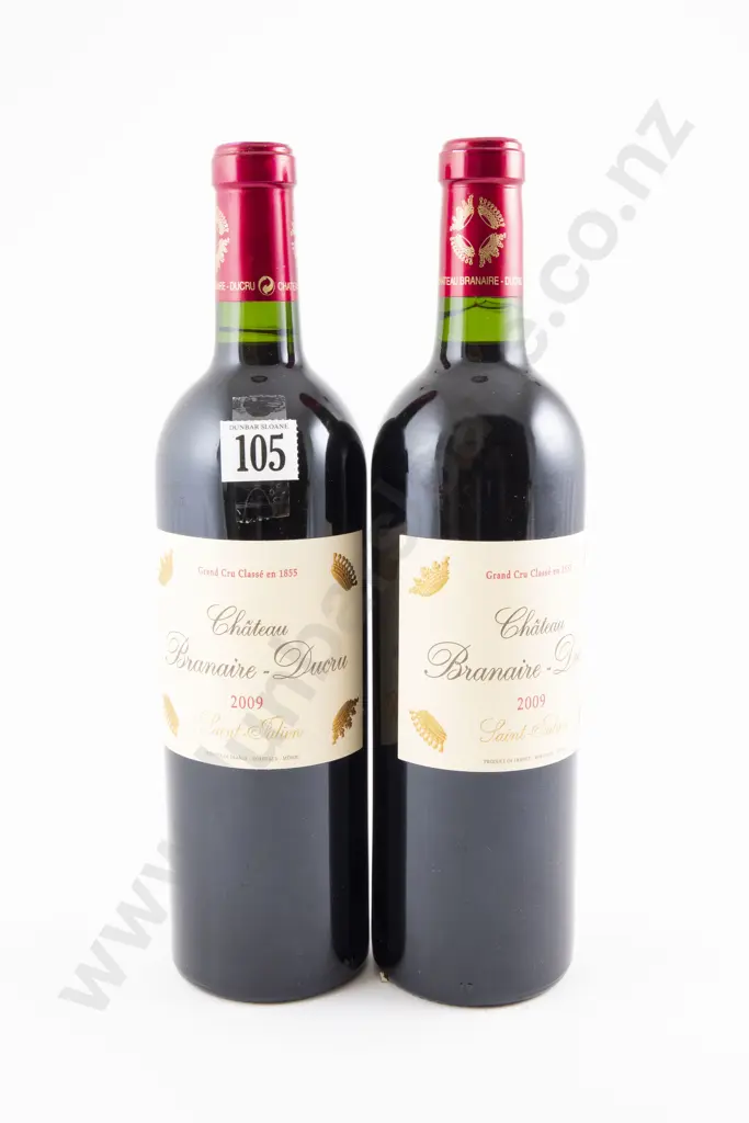 2 bottles Chateau Branaire-Ducru Saint-Julien 2009 Image 1++