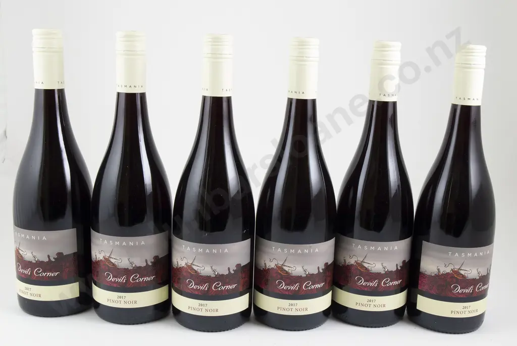 6 bottles Devil's Corner Tasmania Pinot Noir 2017 Image 1++