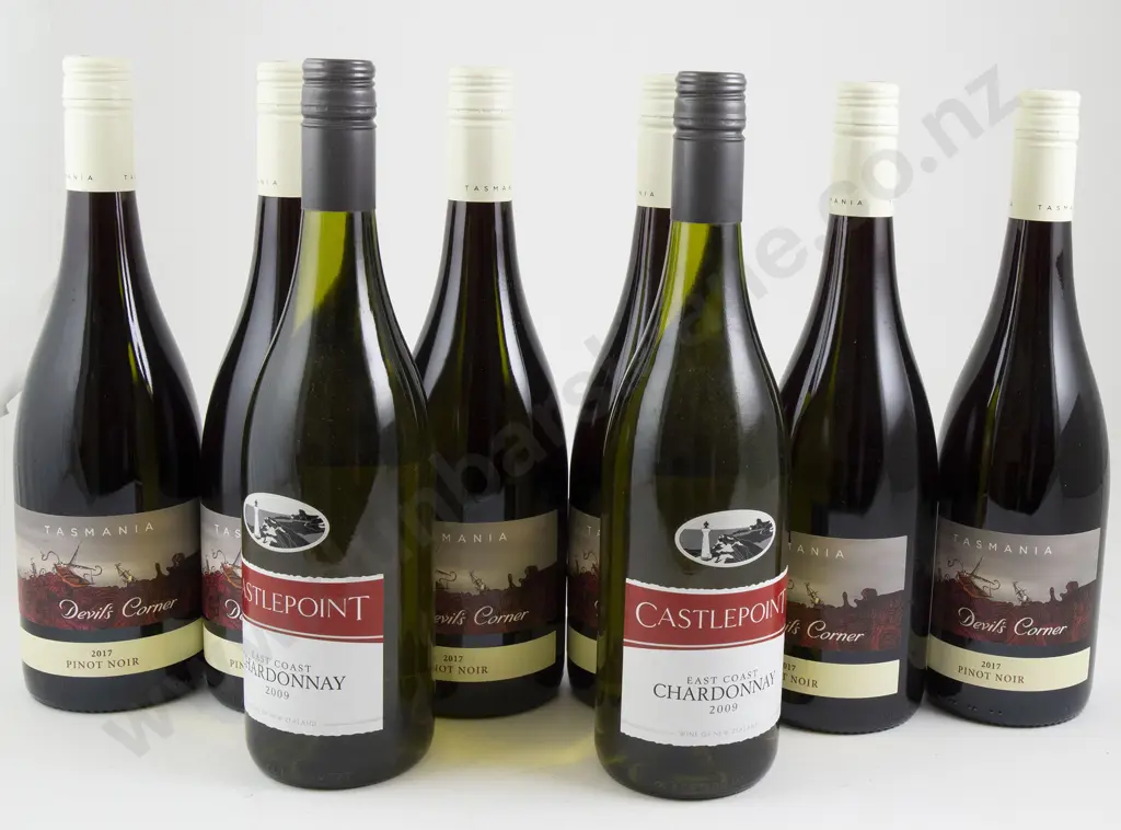 6 bottles Devil's Corner Tasmania Pinot Noir 2017 & 2 bottles Castlepoint Chardonnay 2009 Image 1++