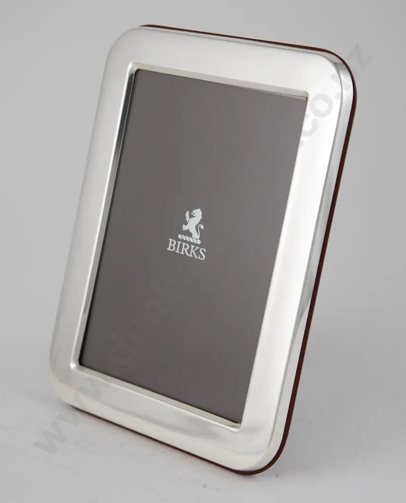 Modern S/S Photograph Frame By Birks Image 1++