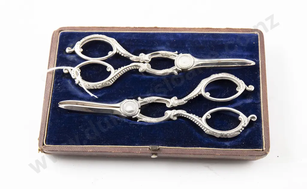 Cased Pair Of S/P Grape Scissors Image 1++