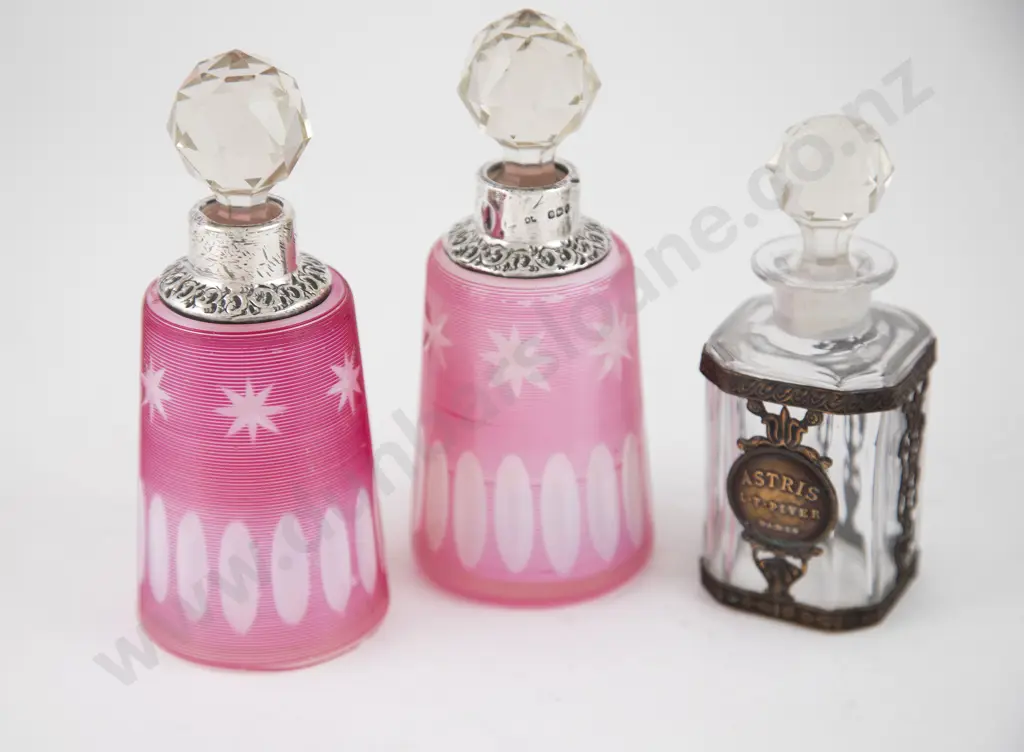 Pair Edw VII S/S Mounted Scent Bottles Image 1++