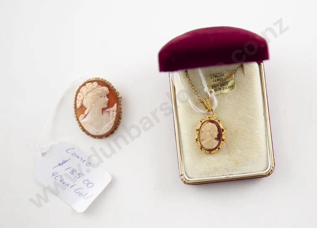 9ct Framed Cameo Brooch Image 1++