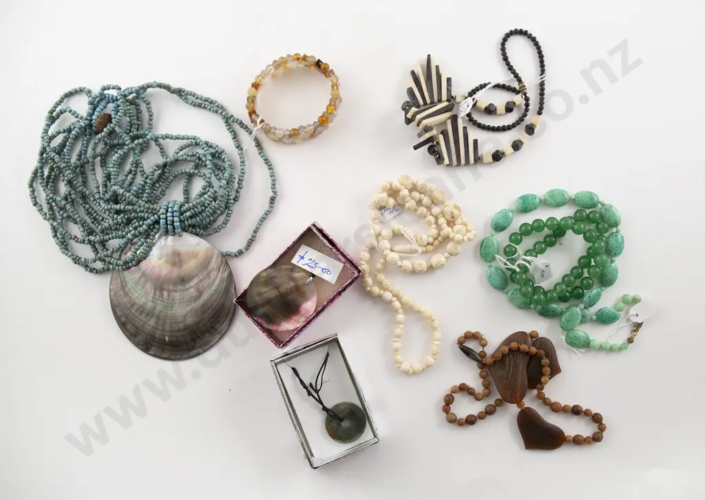 Collection of Shell Image 1++