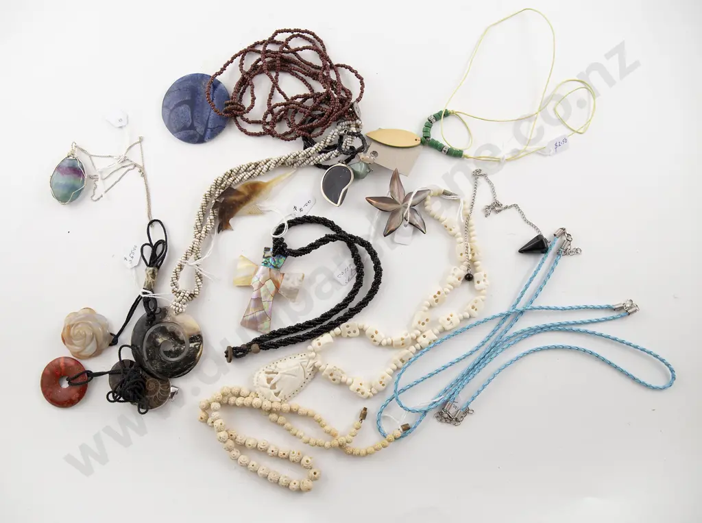Collection of Shell Image 1++