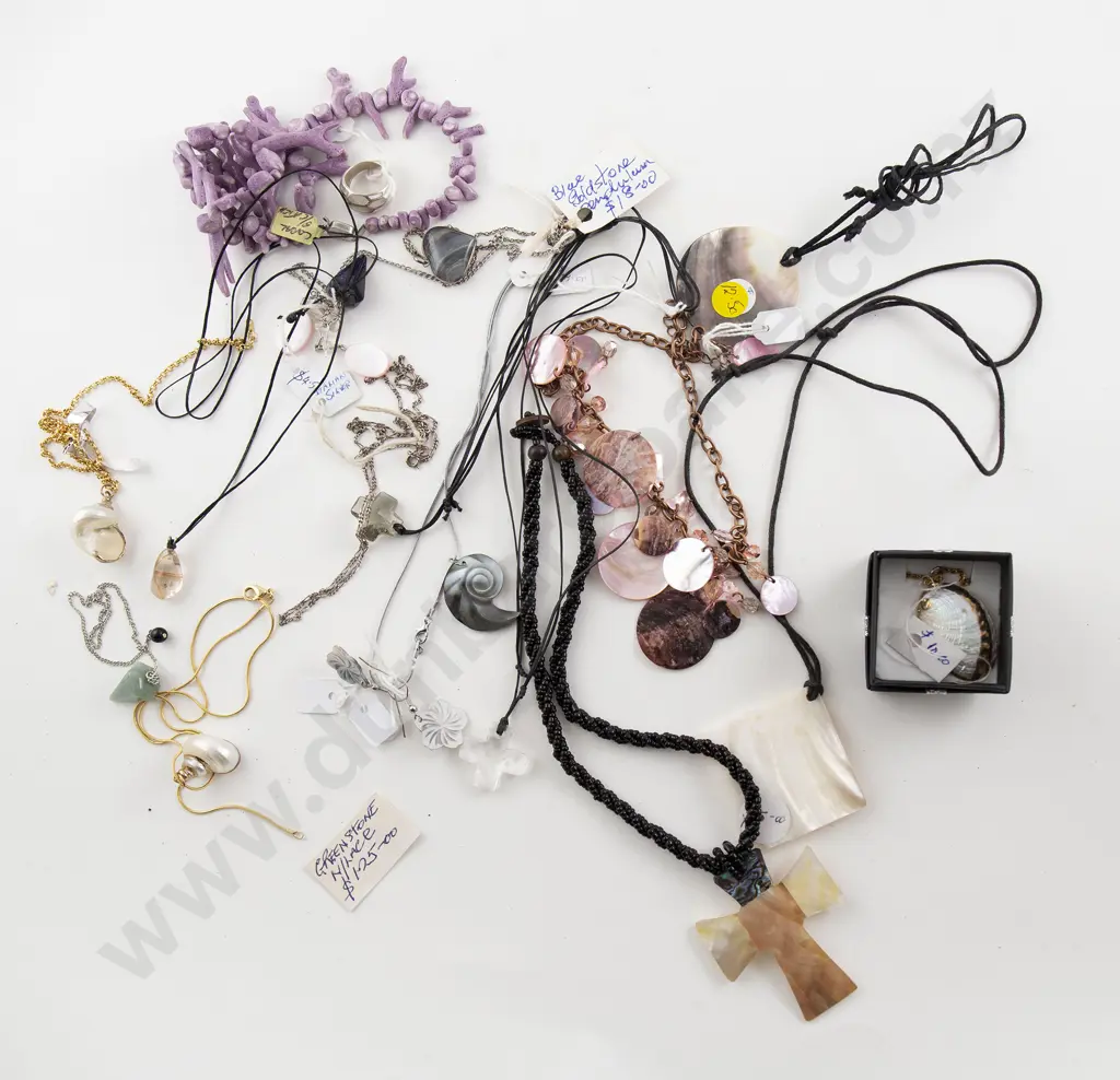 Collection of Shell Image 1++