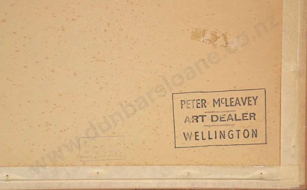 Colin McCahon - Aeroplane and necessary protection Image 1++