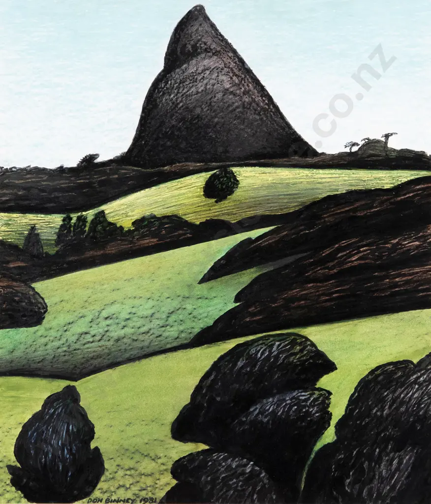Don Binney - Maungaroha Image 1++