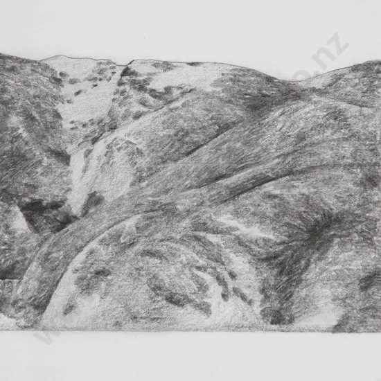 Robin White - Paremata Landscape