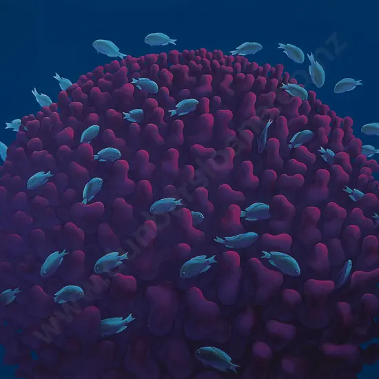 Michael Smither - Coral Head with Fish