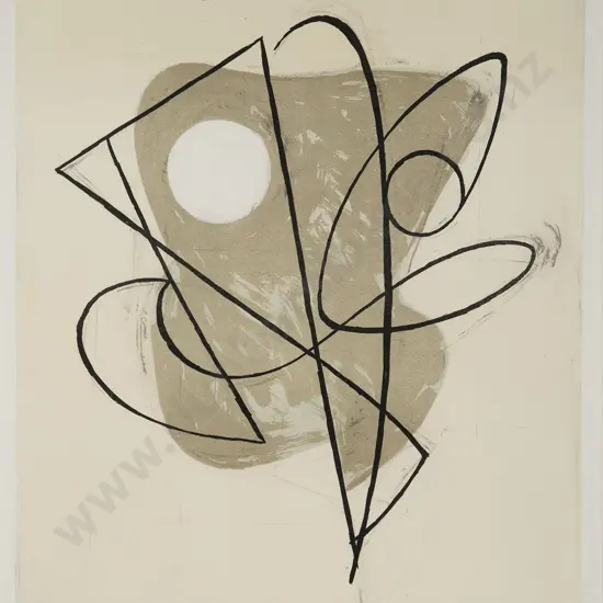 Dick Frizzell - Politiki