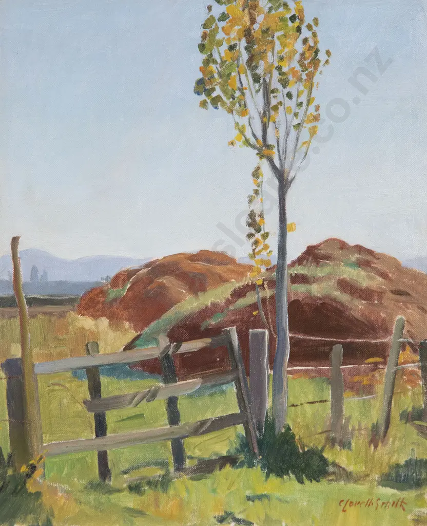 Colin Lovell-Smith - Old Stacks Image 1++