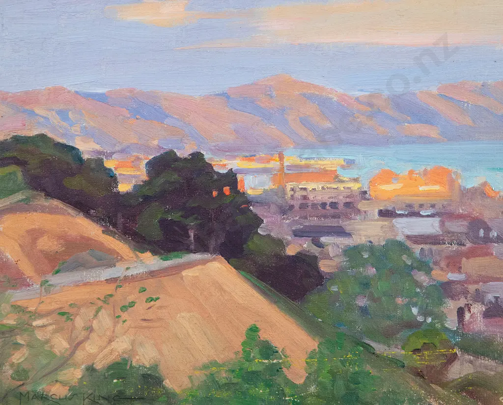 Marcus King - Sun Effect Wellington Image 1++