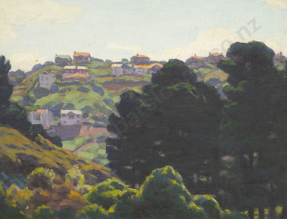 Marcus King - Landscape Wellington Image 1++