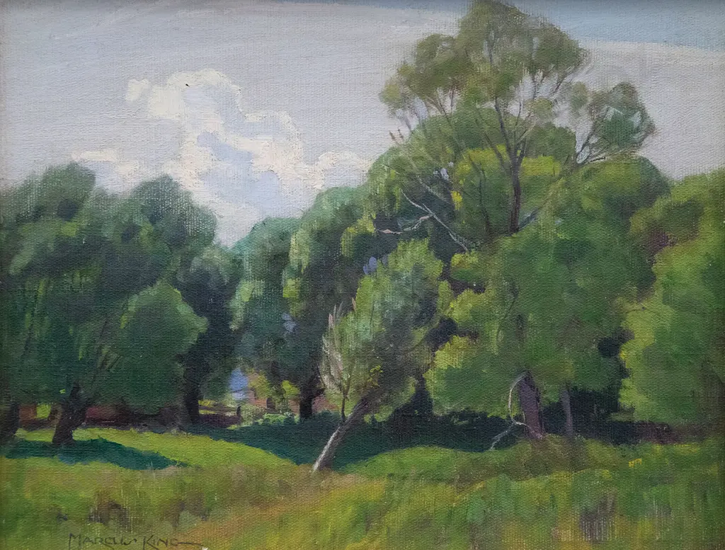 Marcus King - Willows Takaka Image 1++