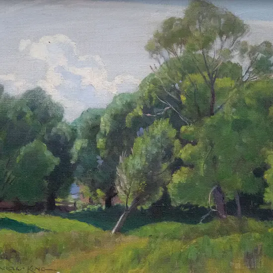 Marcus King - Willows Takaka