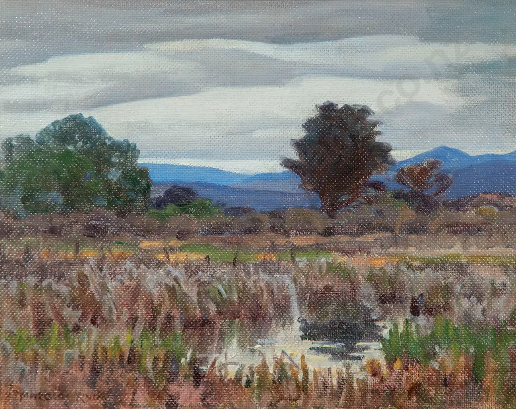 Marcus King - Early Evening Tokaanu Image 1++