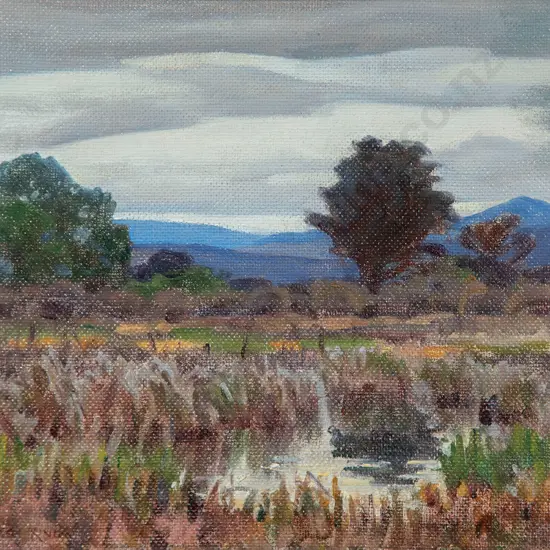 Marcus King - Early Evening Tokaanu