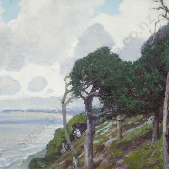 Marcus King - Paraparaumu Coast from Paekakariki Hill