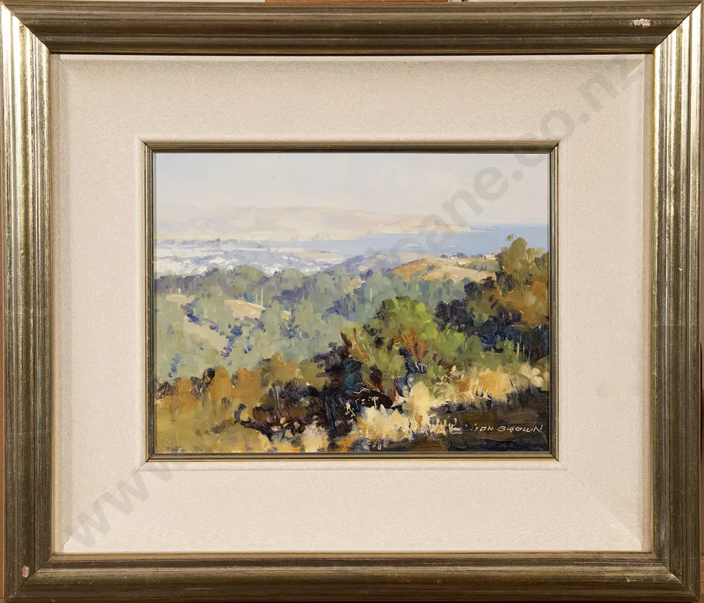 Ion Brown - Wellington Harbour Entrance Image 1++