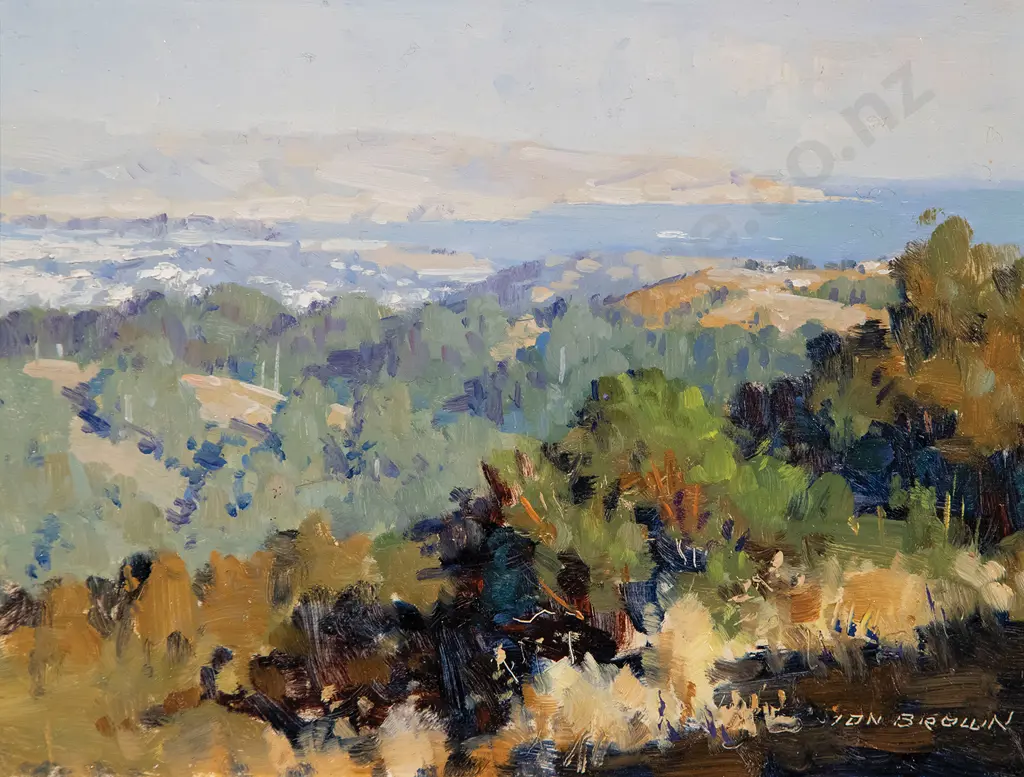 Ion Brown - Wellington Harbour Entrance Image 1++
