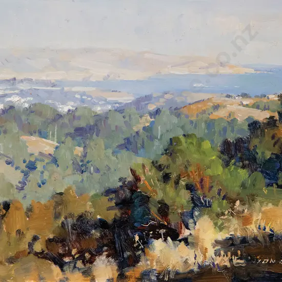 Ion Brown - Wellington Harbour Entrance