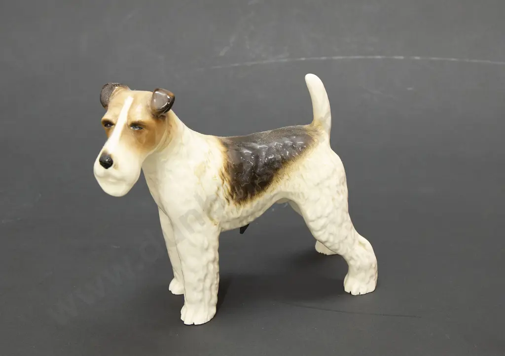 Figure of Wire Haired Fox Terrier Image 1++