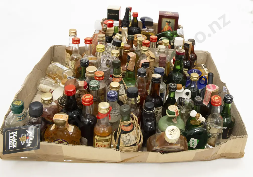 Quantity of Assorted Alcohol Miniatures Image 1++