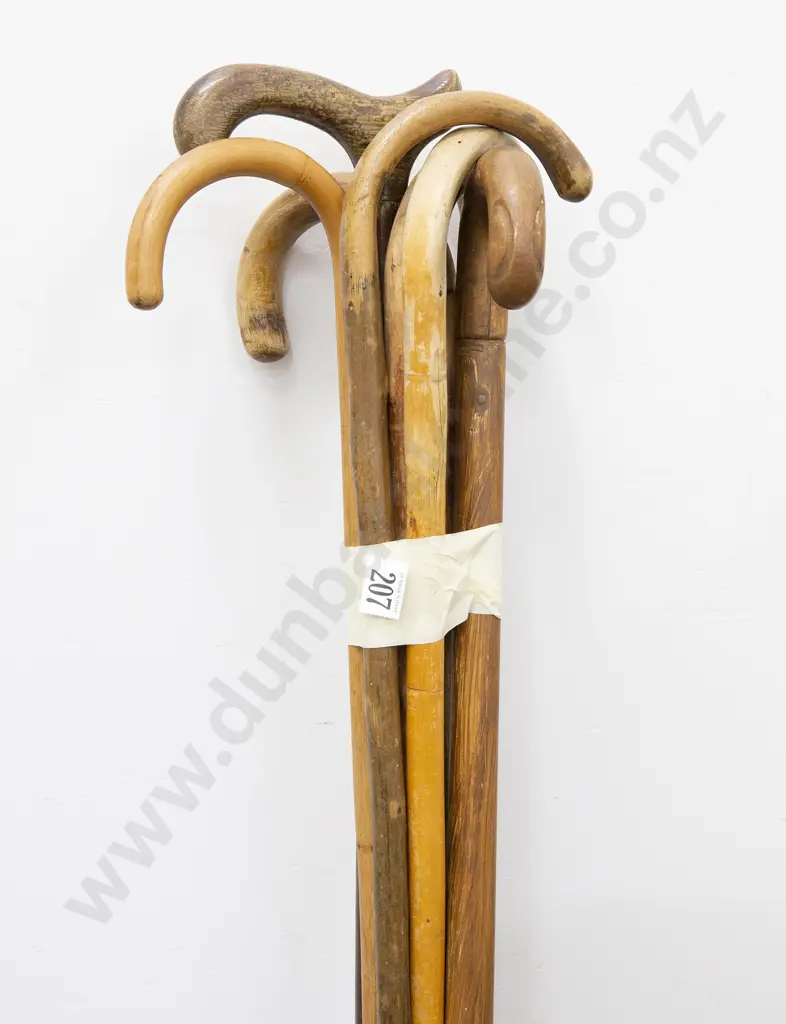 Seven Walking Sticks Image 1++