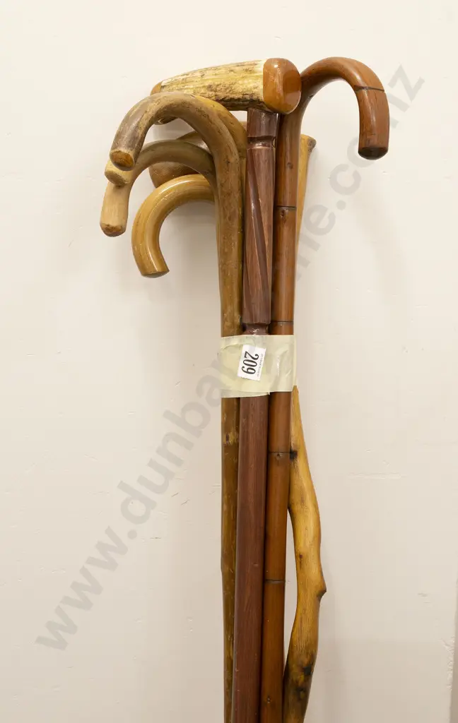 Seven Walking Sticks Image 1++