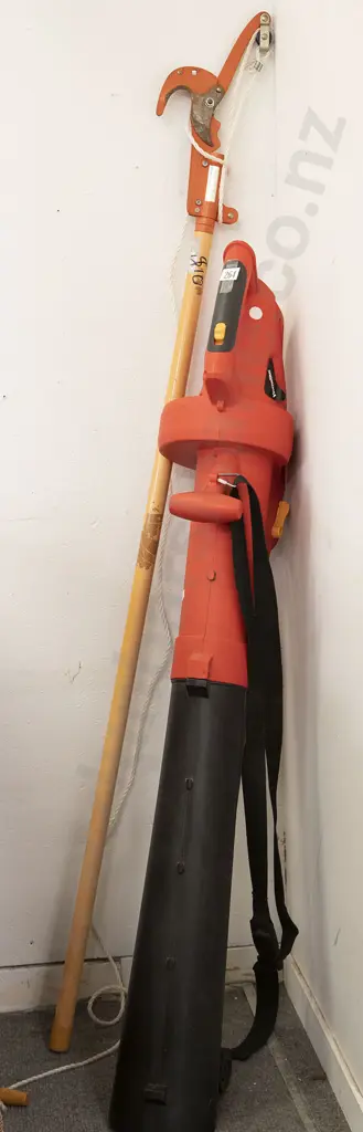 Homelite Leaf Blower and Branch Trimmer Image 1++