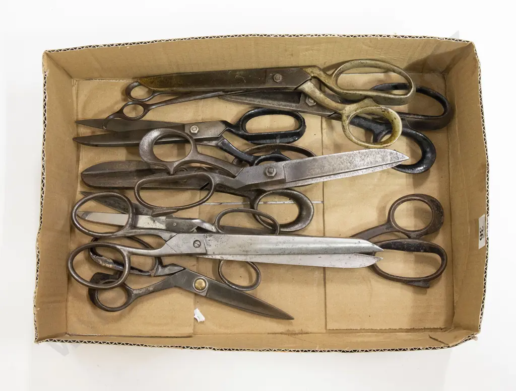 Collection Scissors (10) Image 1++
