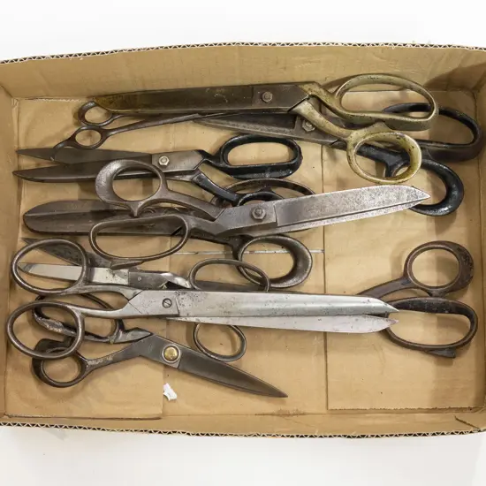 Collection Scissors (10)