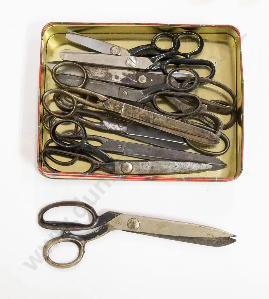 Collection Scissors (11) Image 1++