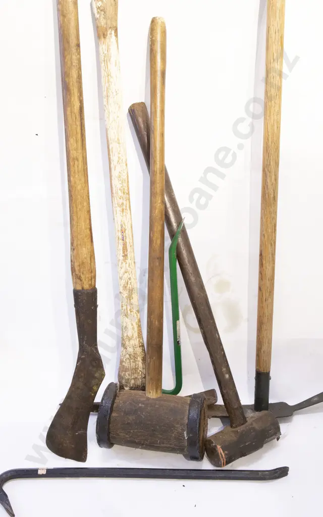 Seven Various Long Handled Tools Image 1++