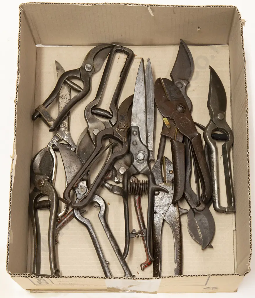 Selection Vintage Steel Secateurs Image 1++