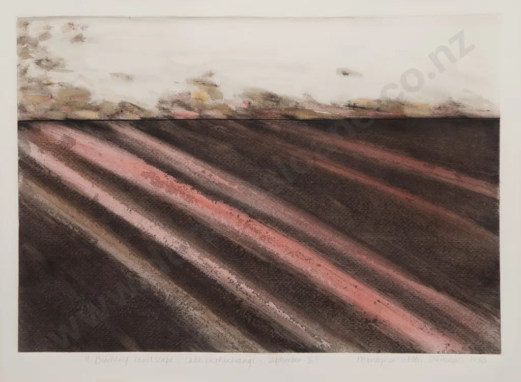 Marilynn Webb - Burning Landscape Image 1++