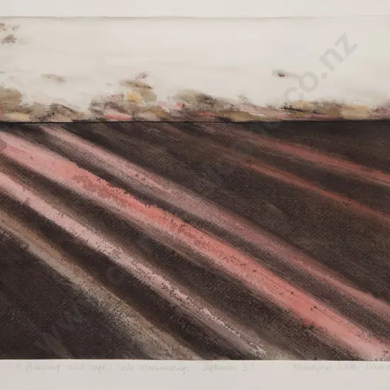 Marilynn Webb - Burning Landscape