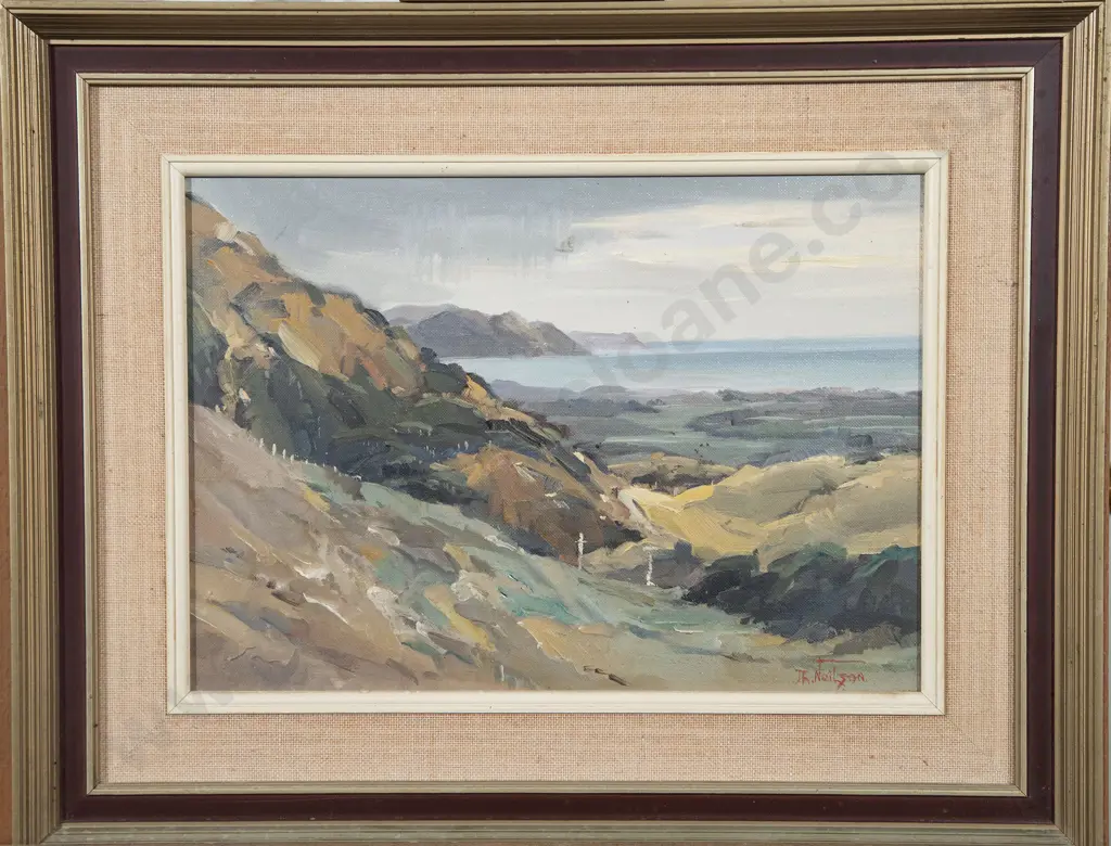 D R Neilson - Landscape Image 1++