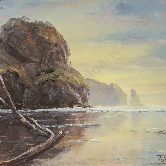 Richard Ponder - Piha