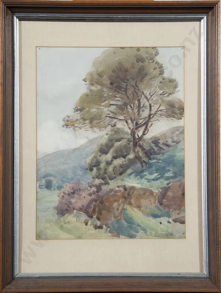 Nugent Welch - Near Plimmerton Image 1++