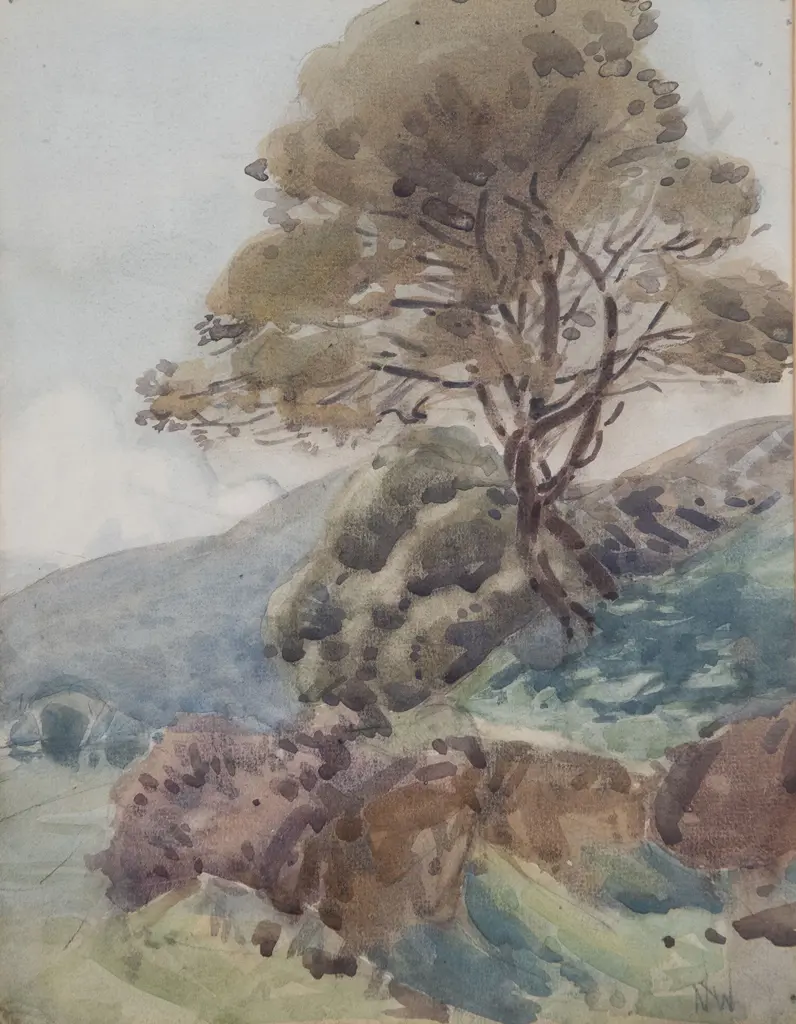 Nugent Welch - Near Plimmerton Image 1++