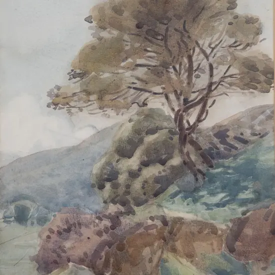 Nugent Welch - Near Plimmerton