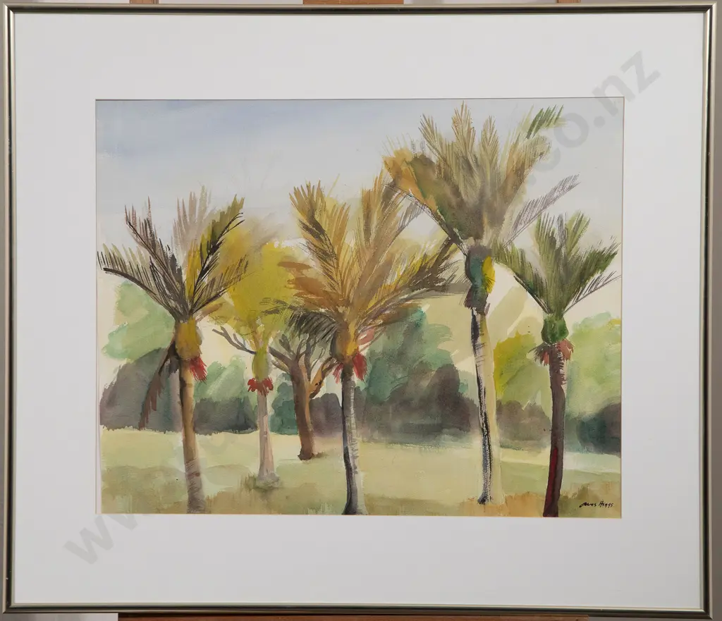 Avis Higgs - Nikau Palms Image 1++
