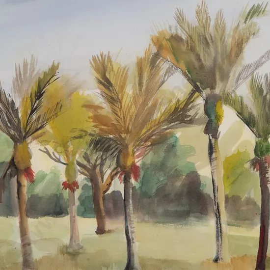 Avis Higgs - Nikau Palms