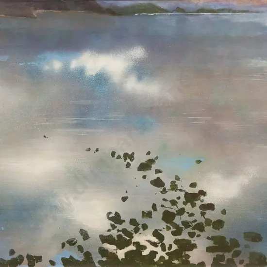 Jeanne Macaskill - Over Evans Bay