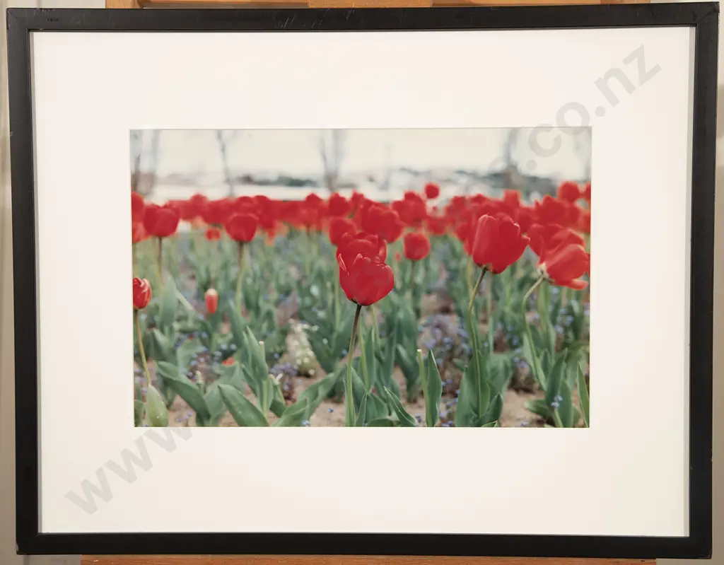 Three Various Art Works Image 1++